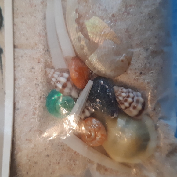 Ideas Incorporated Barbados Beach Front Property - Sand & Shells - Picture 3 of 3